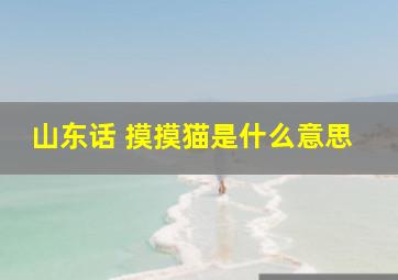 山东话 摸摸猫是什么意思